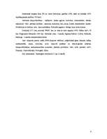 Referāts 'Dienvidāfrikas valstis', 6.