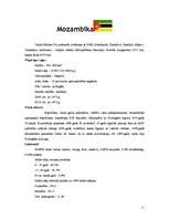 Referāts 'Dienvidāfrikas valstis', 11.