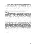 Referāts 'Dienvidāfrikas valstis', 14.