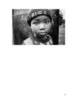 Referāts 'Dienvidāfrikas valstis', 15.