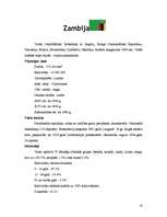 Referāts 'Dienvidāfrikas valstis', 18.