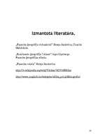 Referāts 'Dienvidāfrikas valstis', 20.