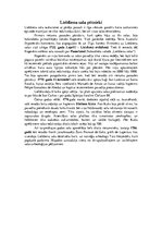 Referāts 'Lieldienu sala', 9.