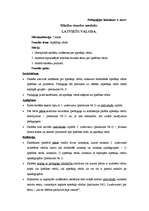 Konspekts 'Mācību stundas plānojums', 4.