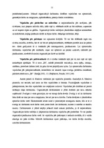 Diplomdarbs 'Darbinieku motivācijas pilnveidošanas iespējas ekonomiskās krīzes laikā organizā', 19.