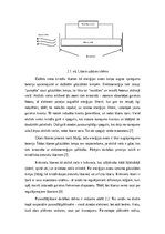 Referāts 'Lāzerskalpeļi medicīnā', 7.