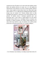 Referāts 'Lāzerskalpeļi medicīnā', 10.