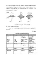 Referāts 'Lāzerskalpeļi medicīnā', 13.
