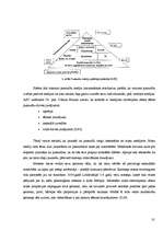 Referāts 'Sabiedrībā pastāvošo stereotipu izraisītie ēšanas traucējumi', 10.