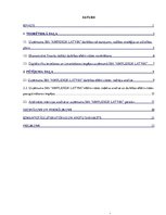 Referāts 'Darbības efektivitātes paaugstināšanas iespējas uzņēmumā SIA “AMPLEXOR LATVIA”', 3.