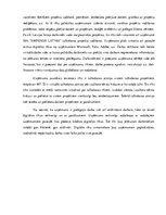 Referāts 'Darbības efektivitātes paaugstināšanas iespējas uzņēmumā SIA “AMPLEXOR LATVIA”', 13.