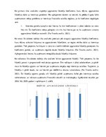 Referāts 'Darbības efektivitātes paaugstināšanas iespējas uzņēmumā SIA “AMPLEXOR LATVIA”', 16.