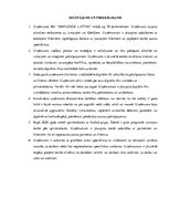 Referāts 'Darbības efektivitātes paaugstināšanas iespējas uzņēmumā SIA “AMPLEXOR LATVIA”', 33.