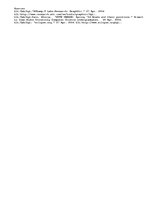 Eseja 'Proposal for a Visual Debugger', 5.