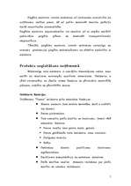 Referāts 'Uzņēmuma loģistikas ķēde', 6.