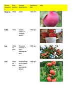 Konspekts 'Piecu Latvijā selekcionētu ābeļu šķirņu salīdzinājums', 1.