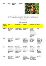 Konspekts 'Piecu Latvijā selekcionētu ābeļu šķirņu salīdzinājums', 2.