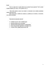 Prakses atskaite 'Latvijas - ASV kopuzņēmums SIA “y”', 3.