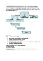 Prakses atskaite 'Latvijas - ASV kopuzņēmums SIA “y”', 5.