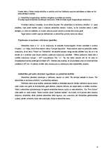 Prakses atskaite 'Latvijas - ASV kopuzņēmums SIA “y”', 8.