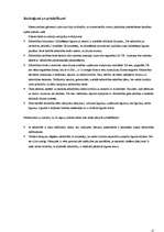 Prakses atskaite 'Latvijas - ASV kopuzņēmums SIA “y”', 12.