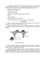 Referāts 'Deformācija un spriegumi', 5.