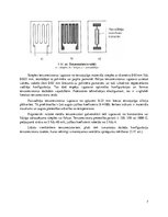 Referāts 'Deformācija un spriegumi', 7.