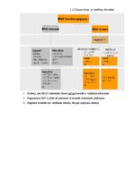 Referāts 'Uzņēmuma AS "Ergo Latvija" analīze', 17.