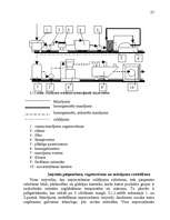 Referāts 'Darba ražīguma organizēšana ražošanas uzņēmumā SIA "Lat Salta"', 27.