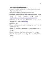 Referāts 'Darba ražīguma organizēšana ražošanas uzņēmumā SIA "Lat Salta"', 39.