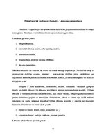Referāts 'Menedžmenta raksturojums, ēdināšanas vadības funkciju pielietojums dažāda tipa ē', 11.