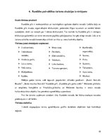 Referāts 'Rundāles pašvaldības tūrisma plānošanas projekts', 10.