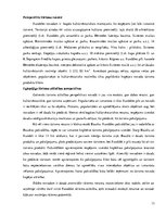 Referāts 'Rundāles pašvaldības tūrisma plānošanas projekts', 13.