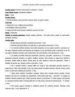 Konspekts 'Latviešu valodas mācību stundas konspekts', 1.