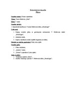 Konspekts 'Latviešu valodas mācību stundas konspekts', 7.