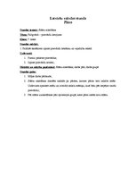 Konspekts 'Latviešu valodas mācību stundas konspekts', 8.