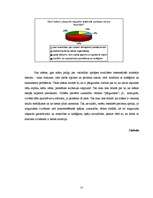 Referāts 'Sasakarmes nepieciešamība, ieviešot grupas veida aprūpes modeli', 27.