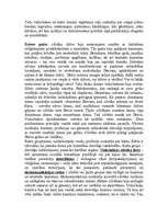 Referāts 'Dieva valstība. Cilvēka problēmas viduslaiku filosofijā', 6.