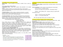 Konspekts 'Psiholoģija', 8.