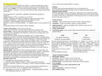 Konspekts 'Psiholoģija', 24.