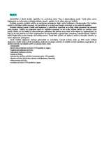 Konspekts 'Valsts un tiesību teorija', 15.