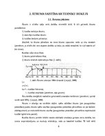 Referāts 'Ātruma saistība ar tehniku hokejā', 8.