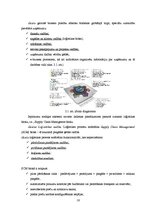 Referāts 'Uzņēmums "Schneider Electric"', 15.