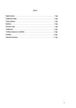 Biznesa plāns 'SIA "Swim"', 2.