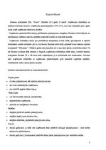 Biznesa plāns 'SIA "Swim"', 3.