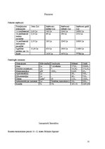 Biznesa plāns 'SIA "Swim"', 10.