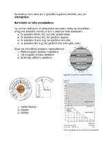 Konspekts 'Atmosfēras spiediena mērīšana', 2.