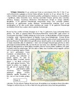 Konspekts 'Viduslaiki', 2.