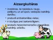 Prezentācija 'Probiotisko baktēriju attīstība piena fermentācijas procesā', 5.