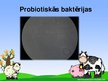 Prezentācija 'Probiotisko baktēriju attīstība piena fermentācijas procesā', 8.